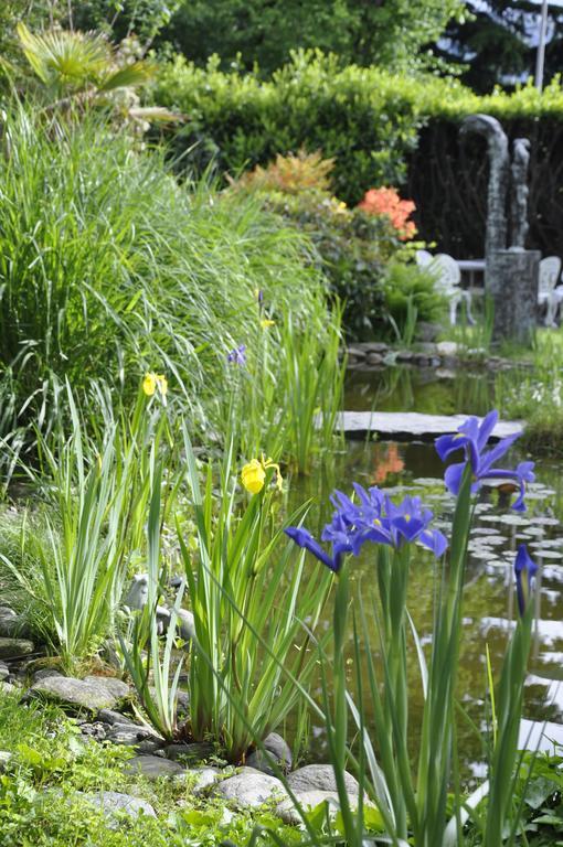Villa Del Gusto Bellinzona Exteriör bild